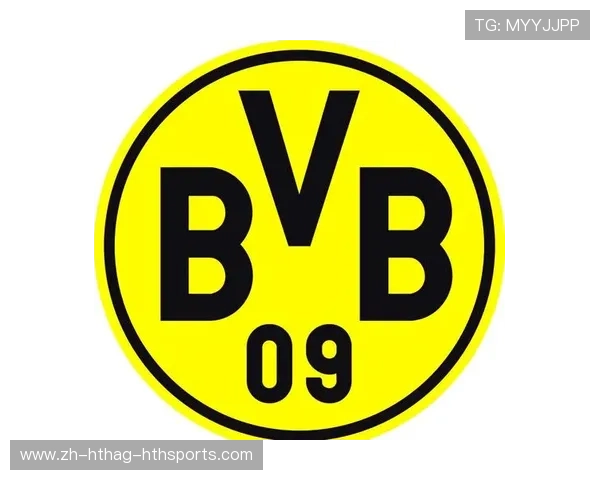 现德甲球队概况与未来展望